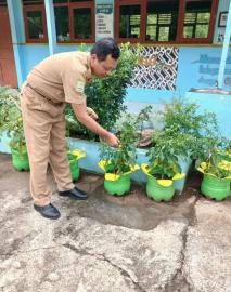 Pot Sederhana, Pelajaran Luar Biasa: SDN Cabe Botodayaan Tanamkan Kemandirian Anak Sejak Dini